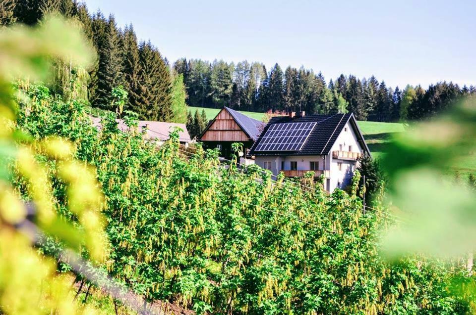 Kochs Beeren Apartment *